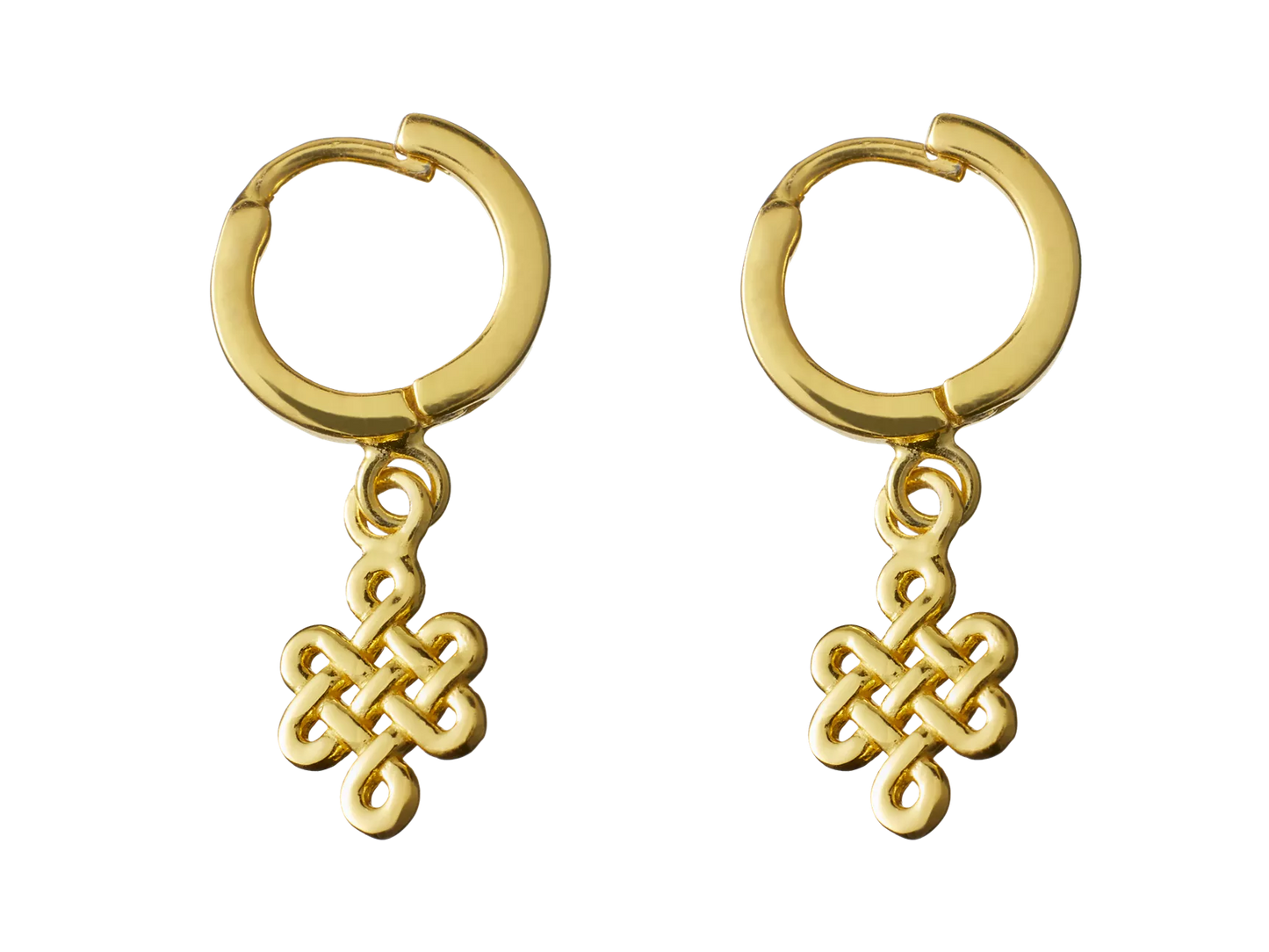 Infinity Round Earrings Gold Plated